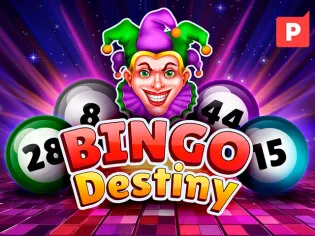 Bingo Destiny icon
